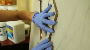 Мастер-класс по изготовлению панно из керамики