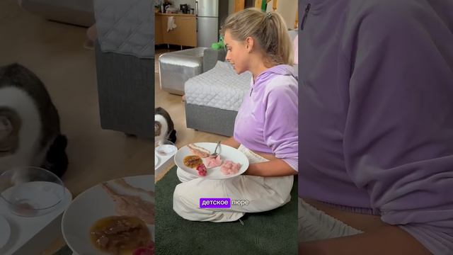 Леопардовая воровка и ее поддельный учавствуют в еда-челлендже!🙀кто знает, кто такая «тарелочница»?