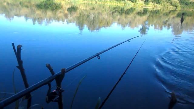 Рыбалка на реке Медведица смотреть онлайн