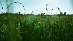Игорь Бжезицкий "Одинокий монах"