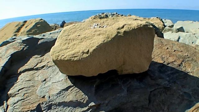 J.B.Loeillet (John) Sonata С-dur for flute & Basso Continuo op.3№1 Part 3 Affettuoso смотреть онлайн