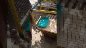 Изготовление клетки для перевозки собаки