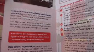 Перевозка ЖИВОТНОГО без ХОЗЯИНа на поезде - услуга РЖД коты собаки лисы-феньки железные дороги