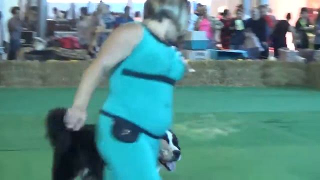 "MOLDAVIAN WINNER 2015" 27.09.15 ч.1 смотреть онлайн