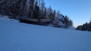 Зафлажили волков!!!