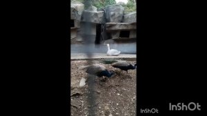 ПроПутешествия.Дагестан.с.Каспий.День9.Фильм15  .mp4