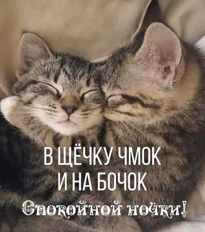 Спокойной ночи?Волшебных снов?Нежные сны?