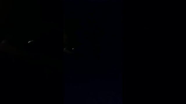 В человека схватила белка!ЗВУК! смотреть онлайн