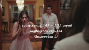 Содержание 199 - 201 серий (28 турецкая) второго сезона сериала "Зимородок" (РФ, 2023 / 2024)