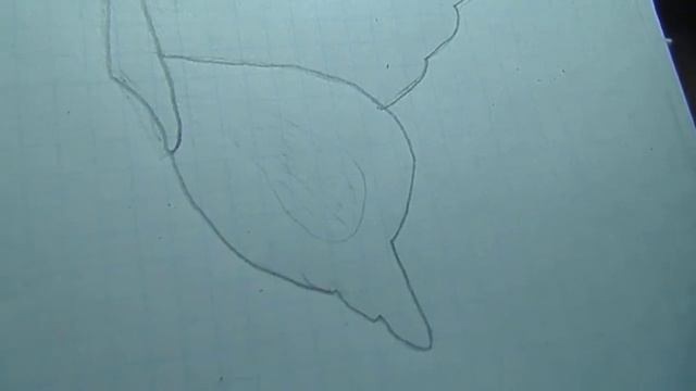 красивая бабочка - рисуем смотреть онлайн