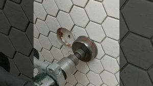 Как сверлить мозаику