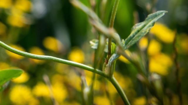 Старик зашел в камеру и ему под ноги бросили полотенце. А уже ночью зеки ломились из хаты. смотреть онлайн