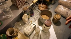 Как сделать мицелий приготовление агаровой среды, теория 1