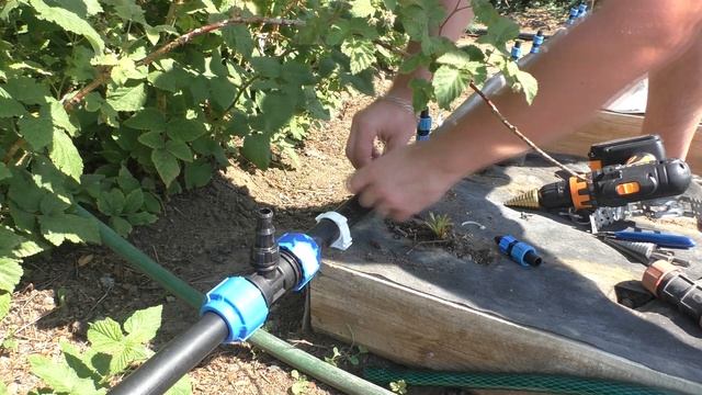 Капельный полив на клубнику от А до Я смотреть онлайн