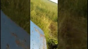 МТЗ 80.1 с роторной косилкой КРН 2.1косим траву сенокос 2020