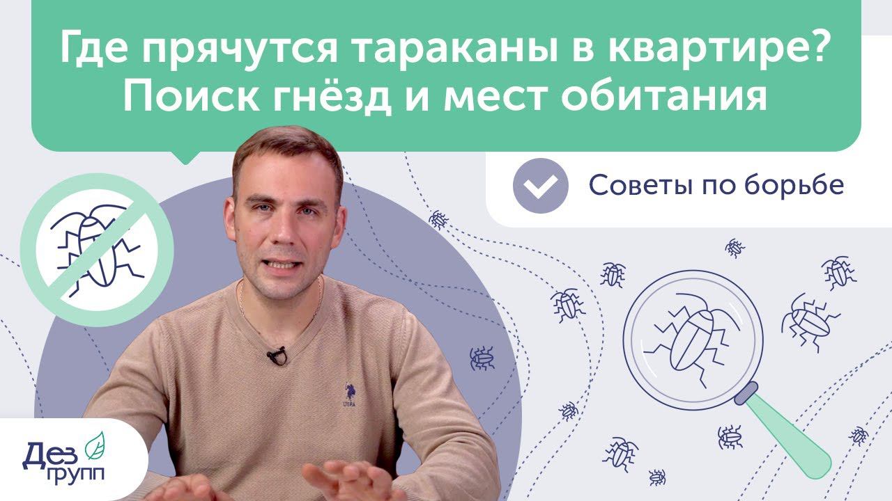 Где прячутся тараканы в квартире? Гнездо тараканов и места обитания | Выведение тараканов | СЭС