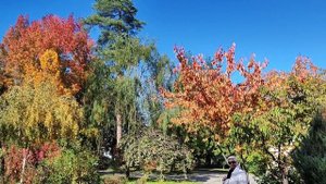 Горячий ключ осенью, святой источник и часовня у Дантова ущелья.