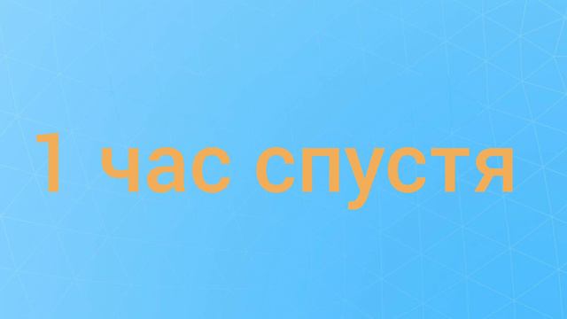 Тока бока. Серия 1 "Мусор и животные" смотреть онлайн