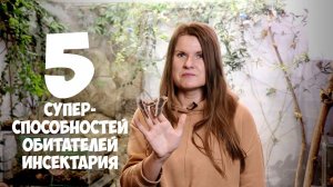 5 суперспособностей насекомых для выживания в лесу. Люся Атаманова.