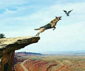 У девяноста девяти из ста нет ума.