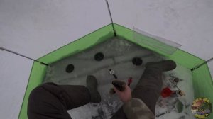 Какая рыба, такая и блесна  Первый лед Подводная съемка. Зимняя рыбалка на Ротана.