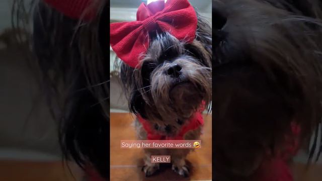 The cutest baby ever. She really loves her vitamins. смотреть онлайн