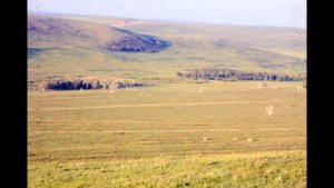 п.Орловский Забайкальский край