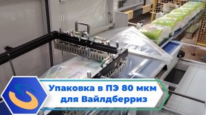 Smipack FP6000CS упаковка памперсов в ПЭ для Wildberries