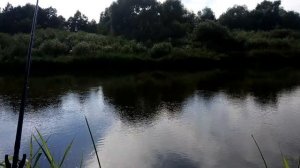 Рыбалка на Немане. Вот эта поклевки.