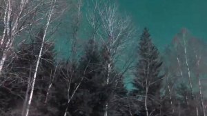 4 Позиции Бруно - Предпоследний Романс