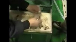 Филетировка для мелкой рыбы