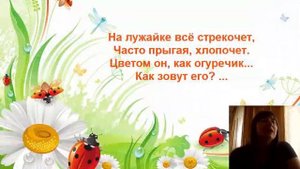 Загадки про насекомых детям на русском языке