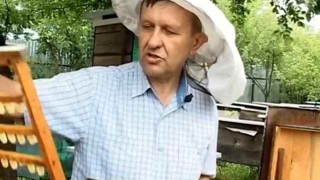 Маточное молочко нативное Сбор маточного молочка
