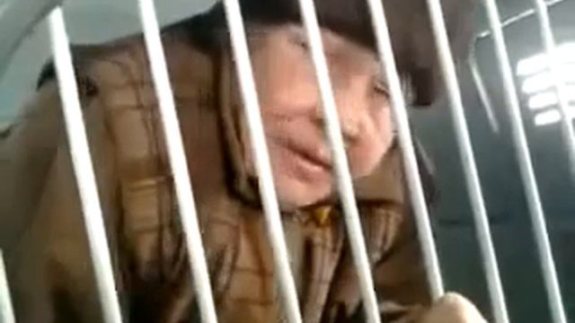 Бабка ругается матом в ментовской машине смотреть онлайн