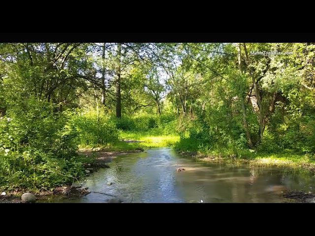 Акафист покаянный смотреть онлайн