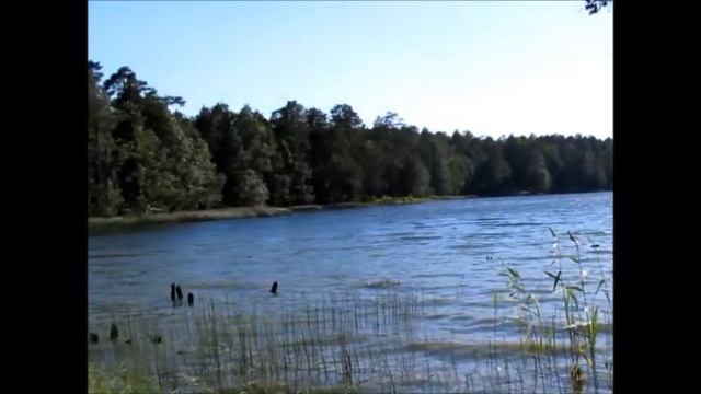 Оз.Омчино. Лужский район.