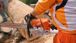 Battle of The Titans Holzfforma G 888 & Husqvarna 3120 & Stihl 881.