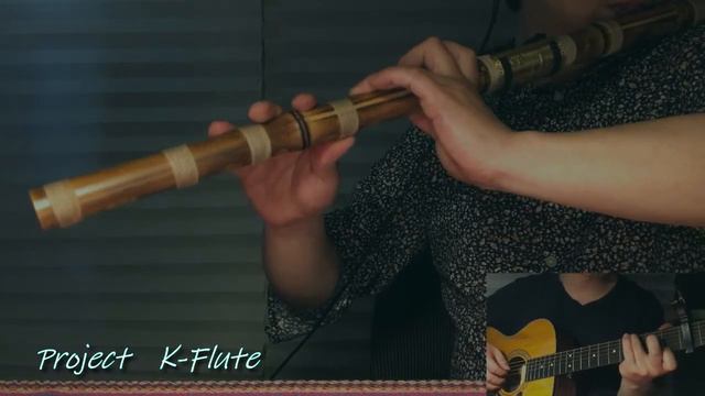 유재하_사랑하기 때문에_대금(kflute) cover смотреть онлайн