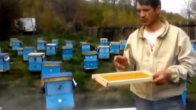 Строительная рамка на пасеке.