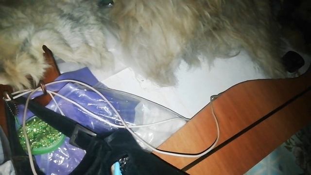 МОЖНО ХЛОПНУТЬ ДВЕРЬЮ, И НЕ СОМНЕВАТЬСЯ: ТЕБЯ ЛЮБЯТ!!! Фраза во сне.