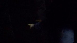 Путешествие в Калининград. Форт №8