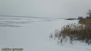 Зима настоящая. Замёрзший лиман на Крещение 19 января 2021г.
