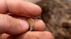 ПОКАТАЛСЯ НА МОТОБЛОКЕ! ПОКАТУШКА НА МОТОБЛОКЕ ЗА МЕТАЛЛОМ