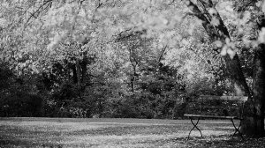 Екатерина Кордюкова "На ладони неба".  Песня в авторском исполнении