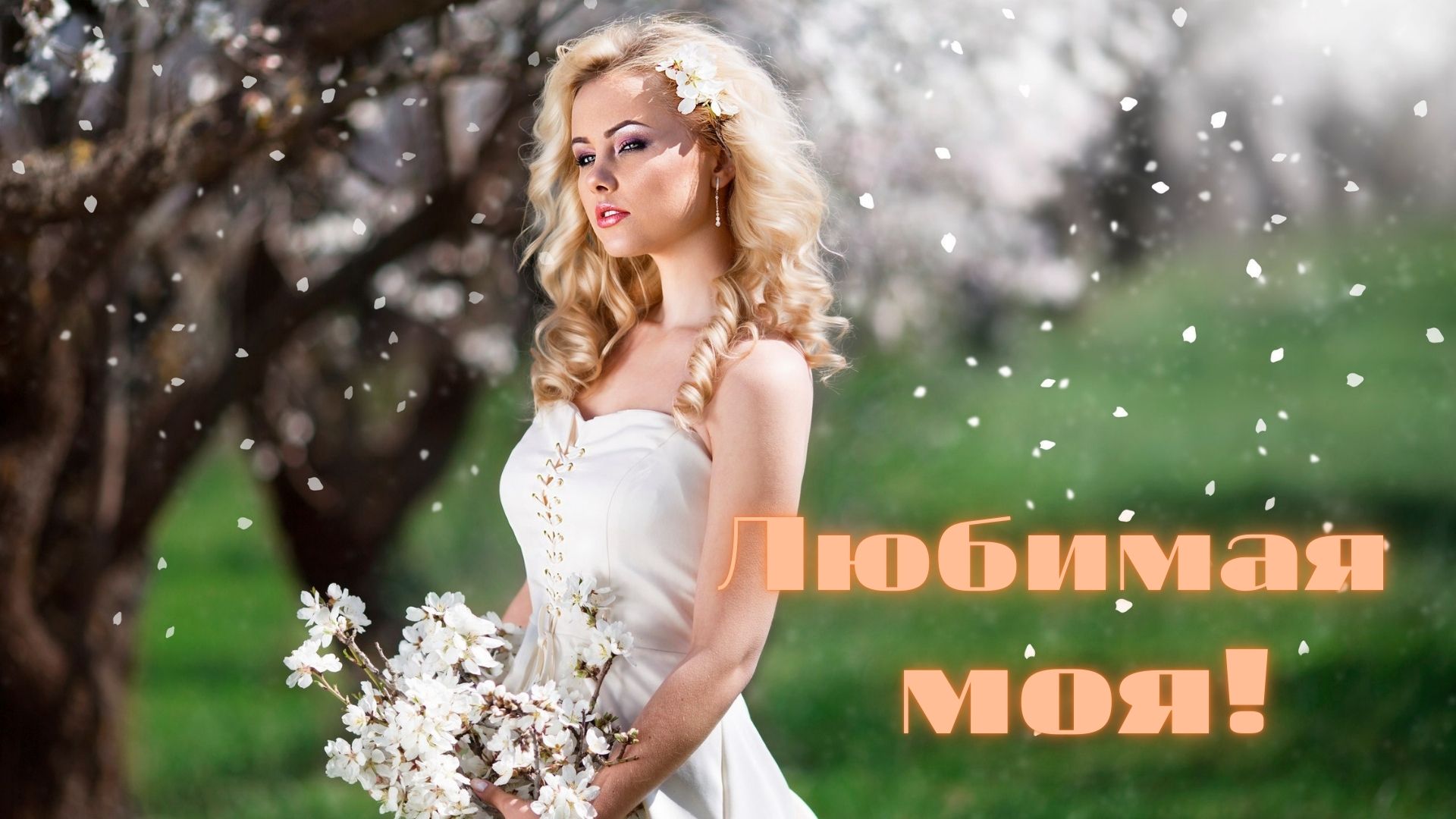 ЛЮБИМАЯ МОЯ ТЫ ЖЕНЩИНА!.