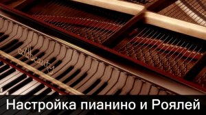 Настройка пианино и роялей Протюнинг