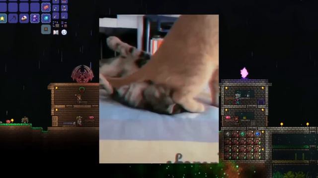 Ужасающий Лунный Лорд! || Calamity Infernum mod #3 смотреть онлайн