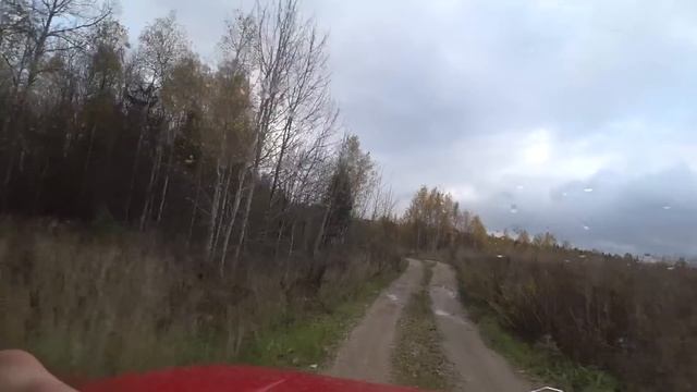 С такой собакой погулять можно не везде смотреть онлайн