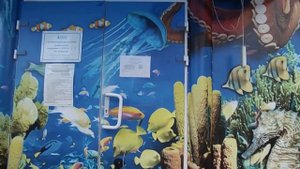 Анапа Океанариум приглашает! Кто уже был? СТОИТ СХОДИТЬ? Какие впечатления?