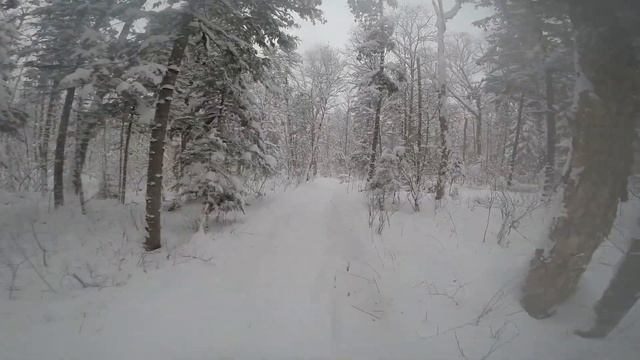 покатушки на LYNX Boondoker по участку, первые путики 1 2015 11 смотреть онлайн